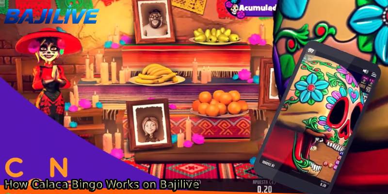 How-Calaca-Bingo-Works-on-Bajilive.